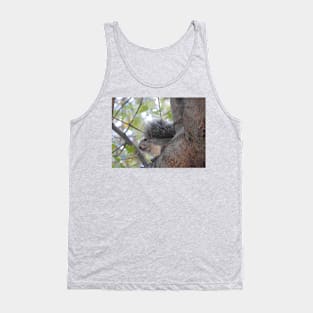 Grey Squirrel, animals, wildlife, nature, gifts Tank Top